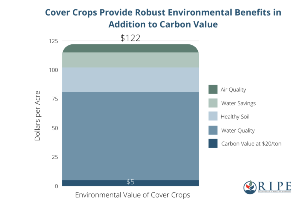 cover crops provide robust environmental value