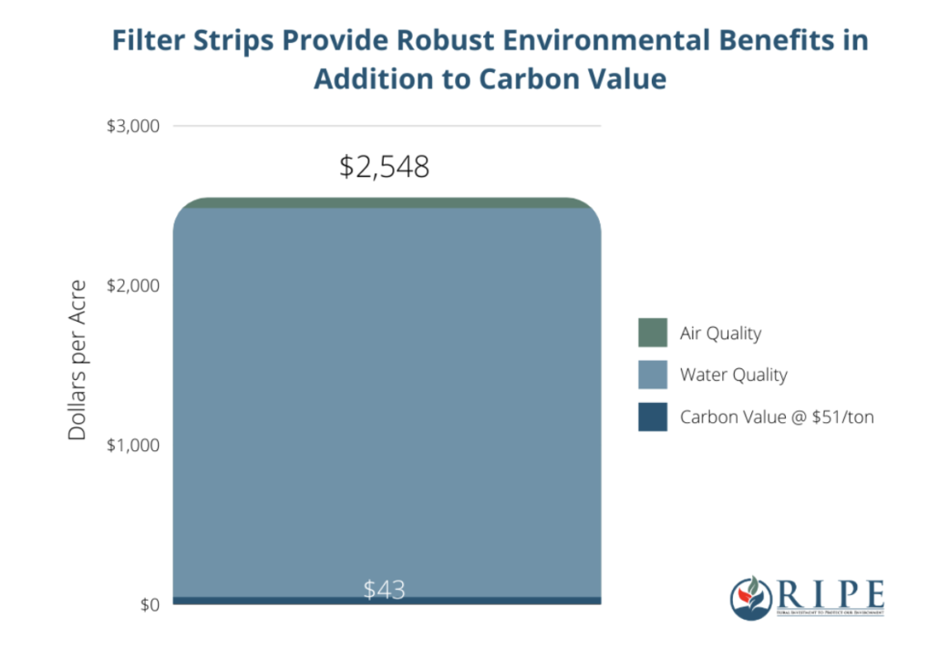 RIPE chart shows benefits of filter strips